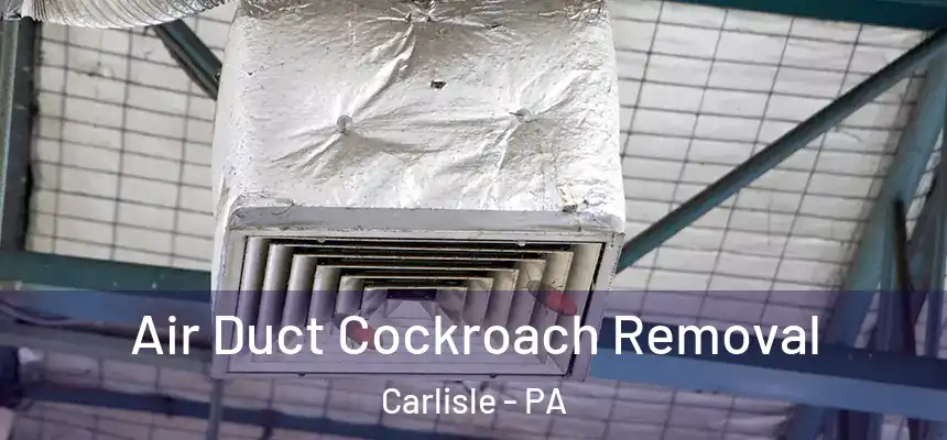 Air Duct Cockroach Removal Carlisle - PA