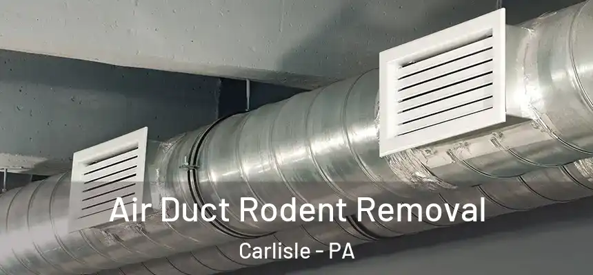  Air Duct Rodent Removal Carlisle - PA