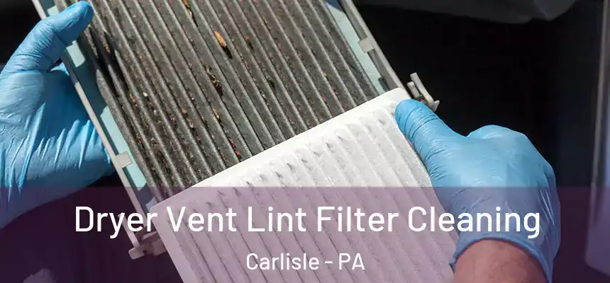  Dryer Vent Lint Filter Cleaning Carlisle - PA
