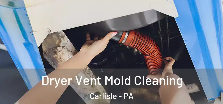  Dryer Vent Mold Cleaning Carlisle - PA