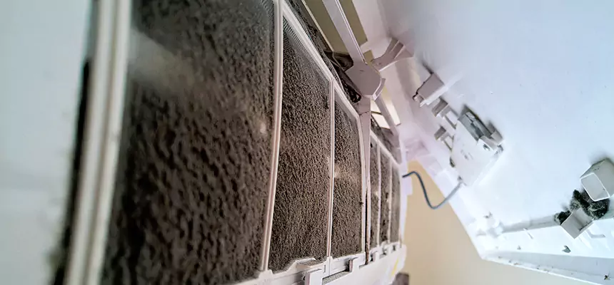 Preventive Air Duct Bacteria Removal in Carlisle