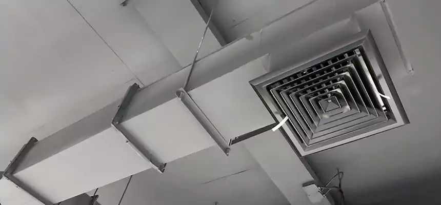 Our Rodent Droppings In Vents Services in Carlisle, PA