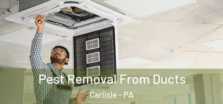  Pest Removal From Ducts Carlisle - PA