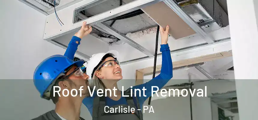  Roof Vent Lint Removal Carlisle - PA