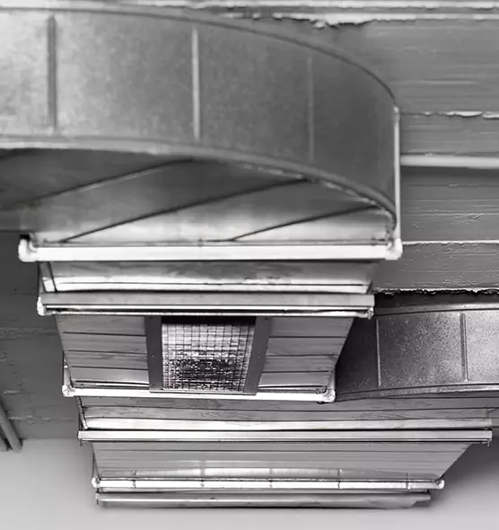 Professional Air Duct Pest Removal in Carlisle, PA