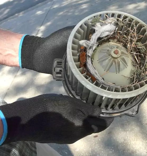 About Air Duct Rat Removal in Carlisle, PA