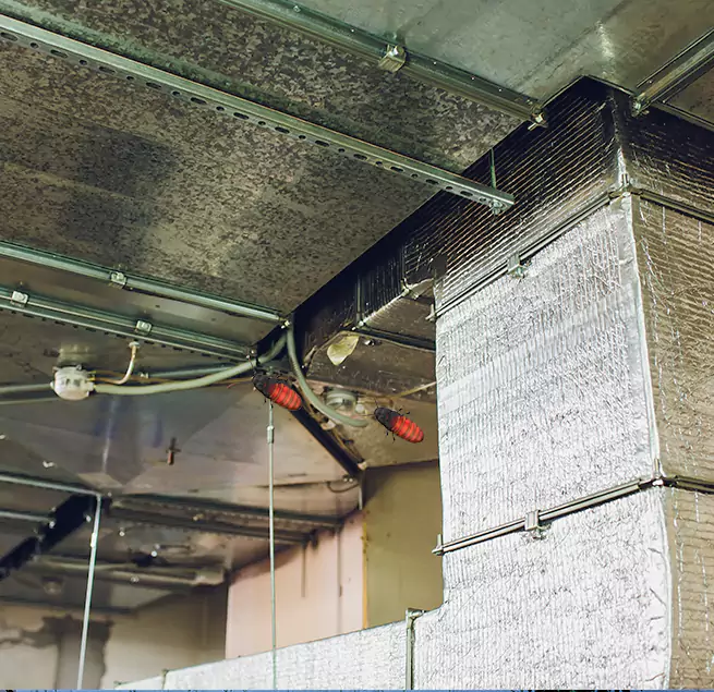 Why Homeowners & Businesses Trust Us in Carlisle, PA?